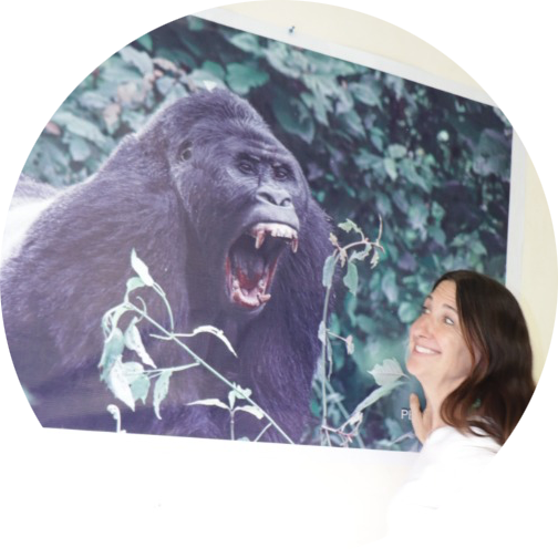 Go to the profile of Mary Jo