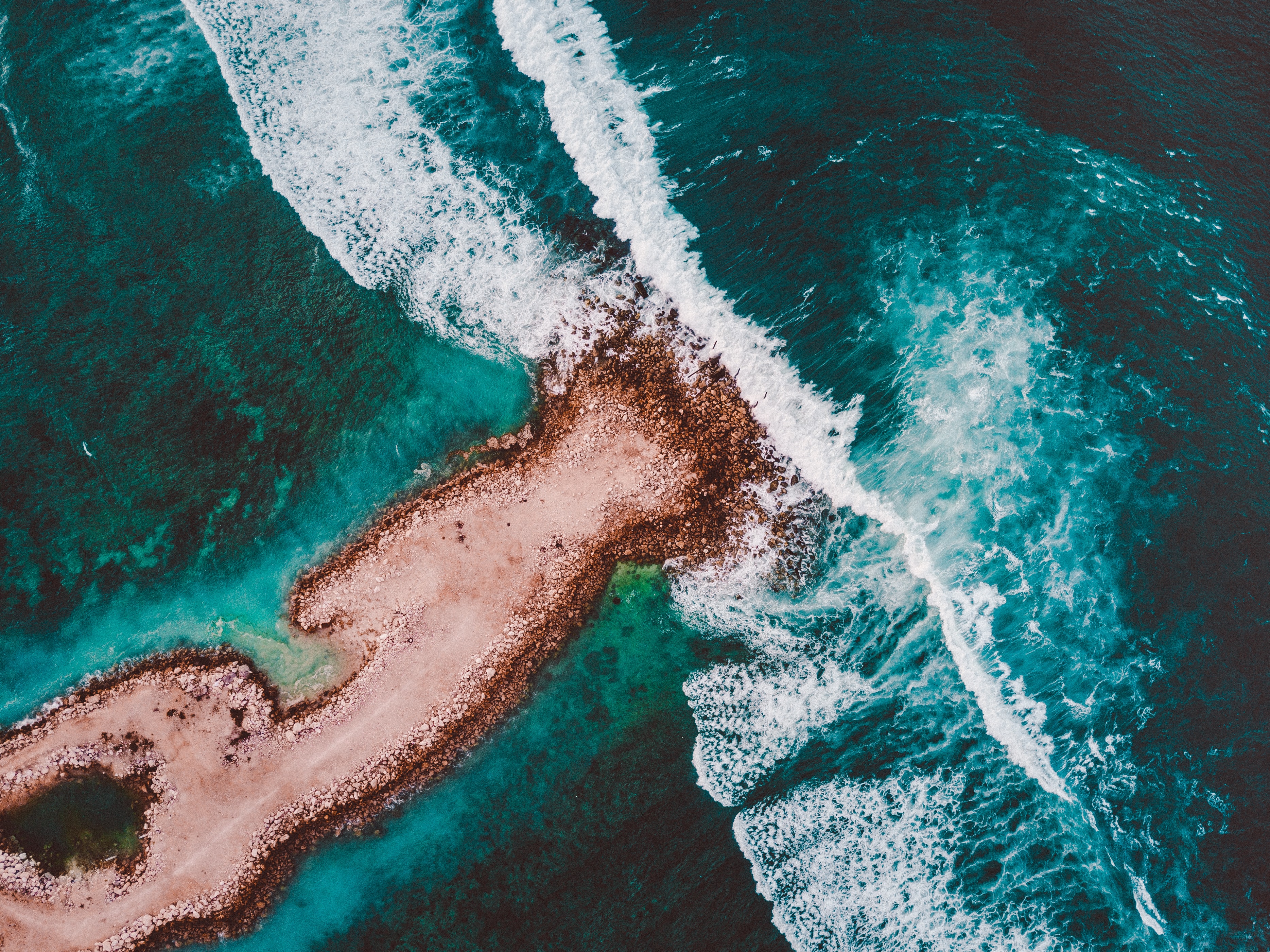 Workshop recording: How resilient is your organisation? 