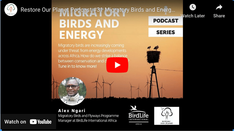 Restore Our Planet Podcast #31 Migratory Birds and Energy: Alex Ngari