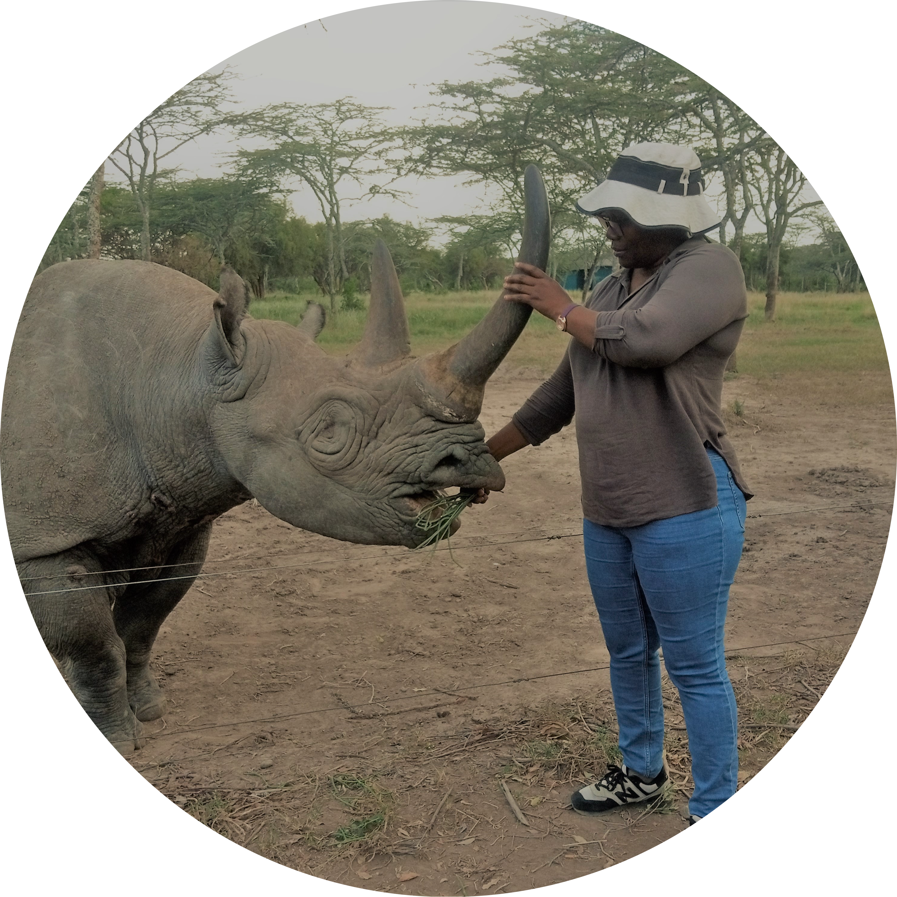 Go to the profile of Rose Abae