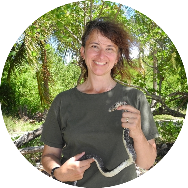 Go to the profile of Jennifer Daltry