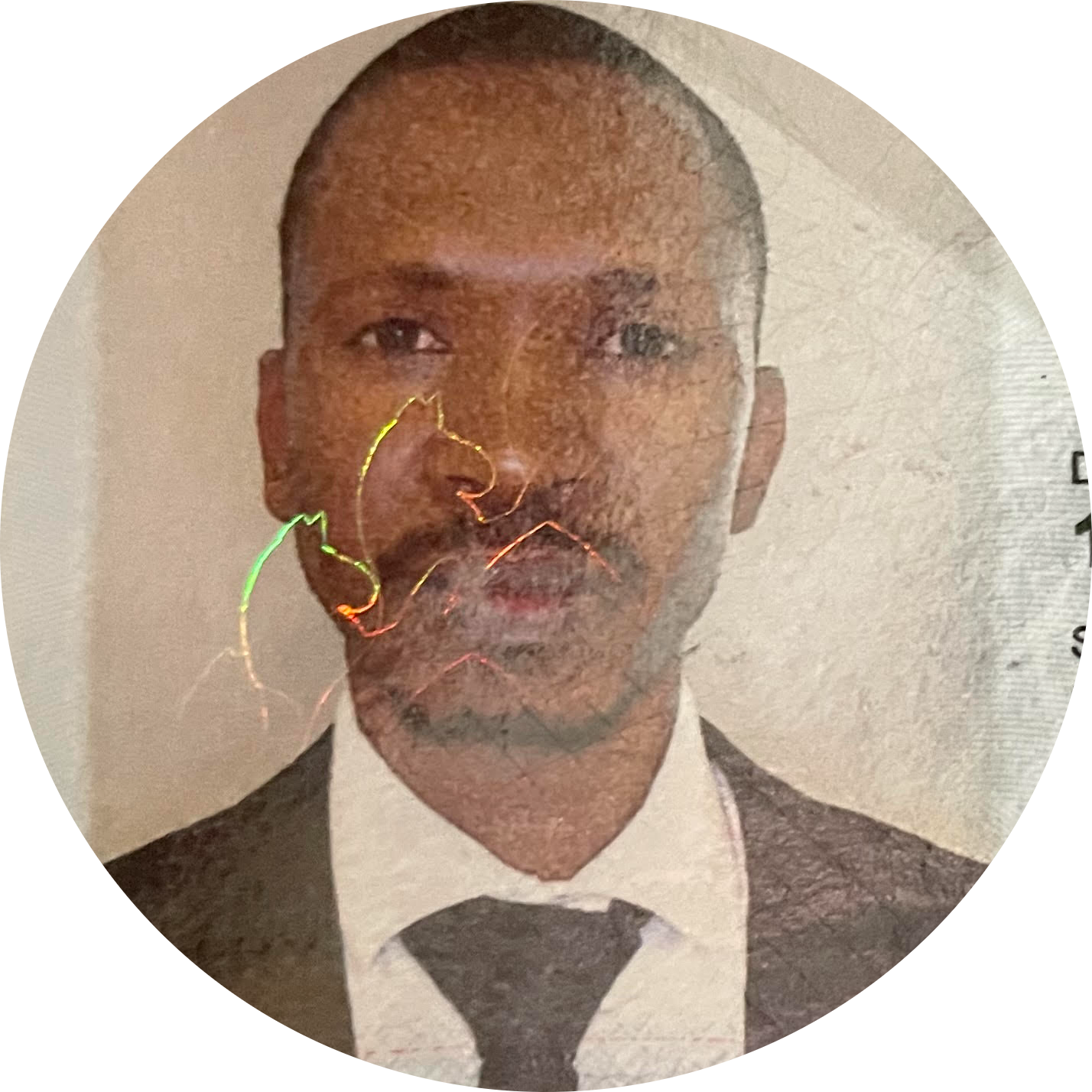 Go to the profile of Othusitse Lekoko