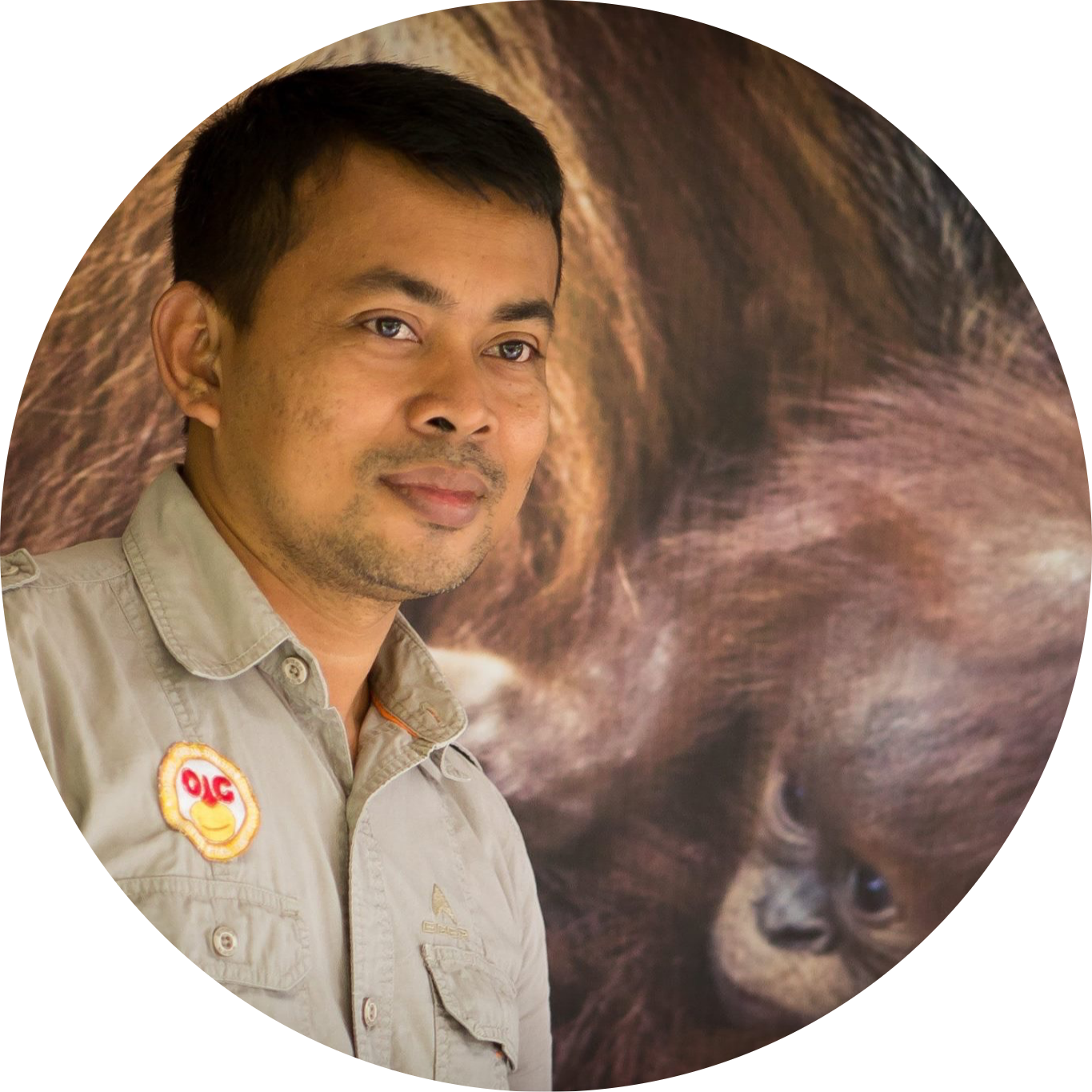 Go to the profile of Panut Hadisiswoyo