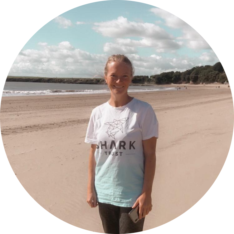 Go to the profile of Kayleigh Williams