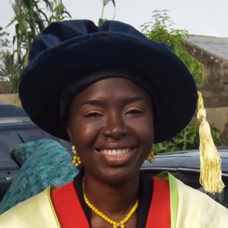 Go to the profile of Adedotun Onoyinka Afolayan