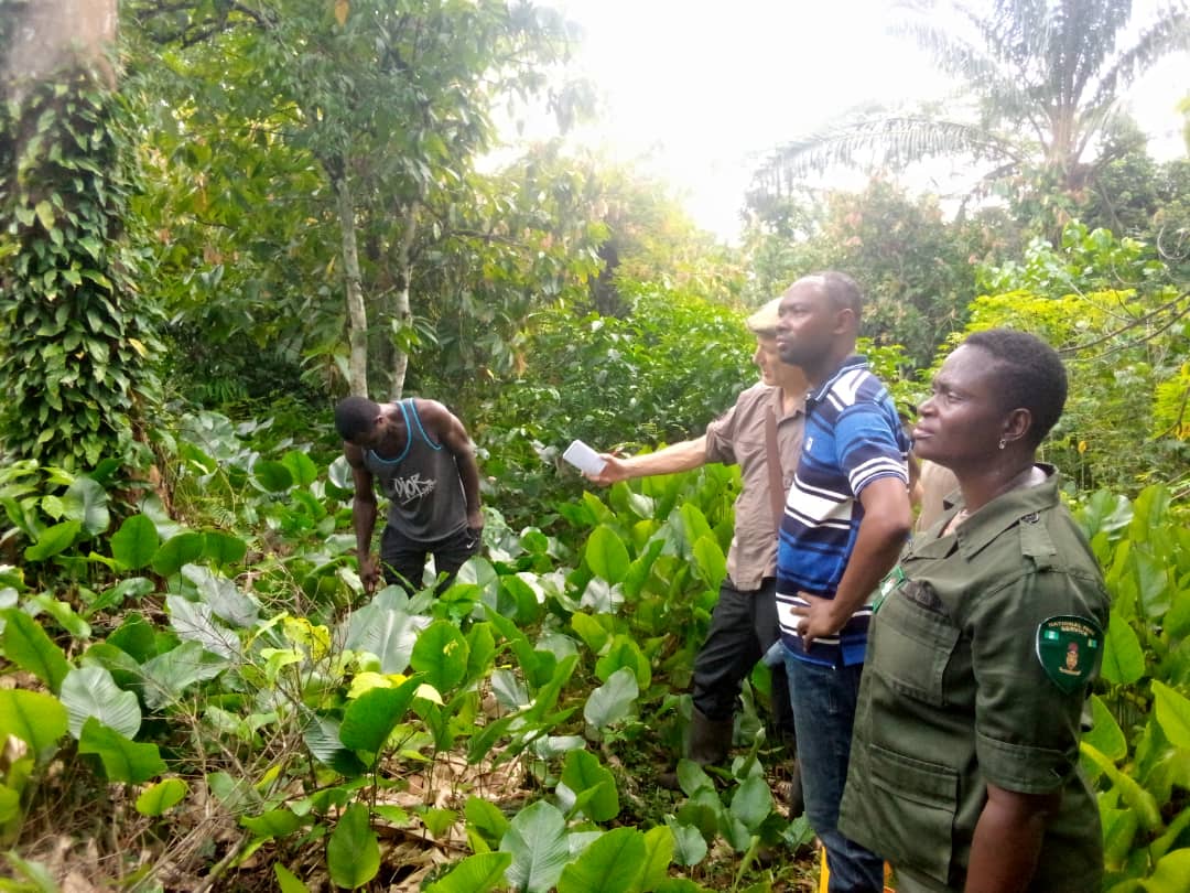 Hi, my name is Innocent Oyarekhua, from Nigeria