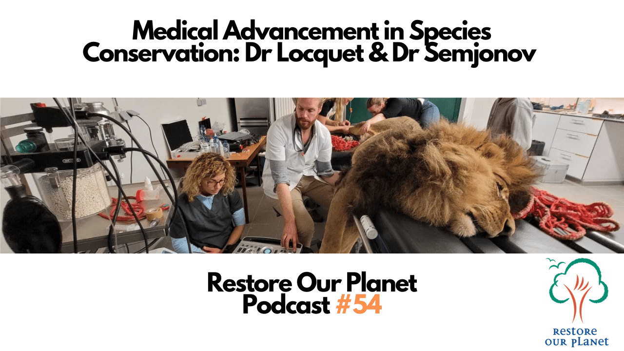 Restore Our Planet Podcast #54 Medical Advancement in Conservation. Dr Locquet & Dr Semjonov.