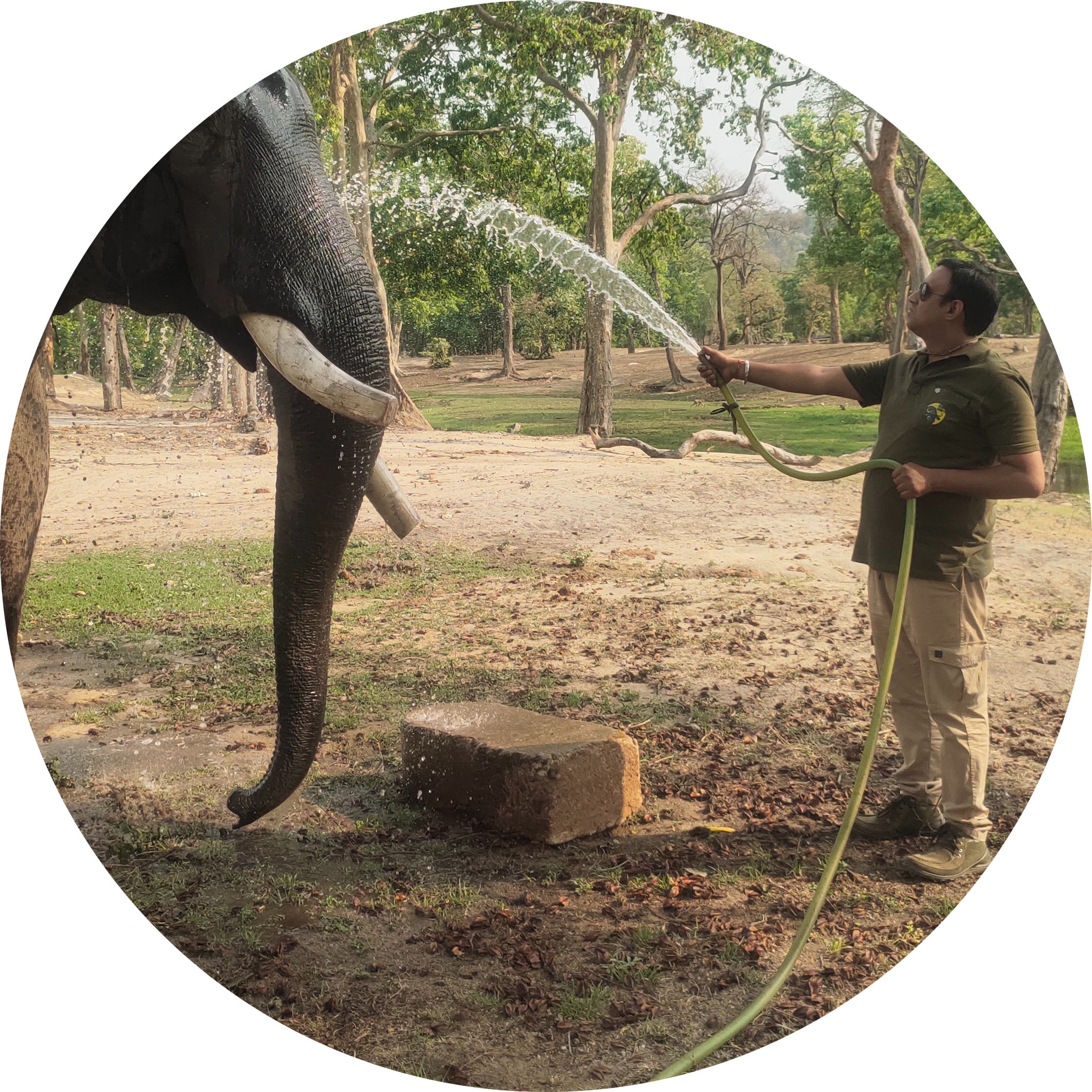 Go to the profile of Dr. Nitin Gupta