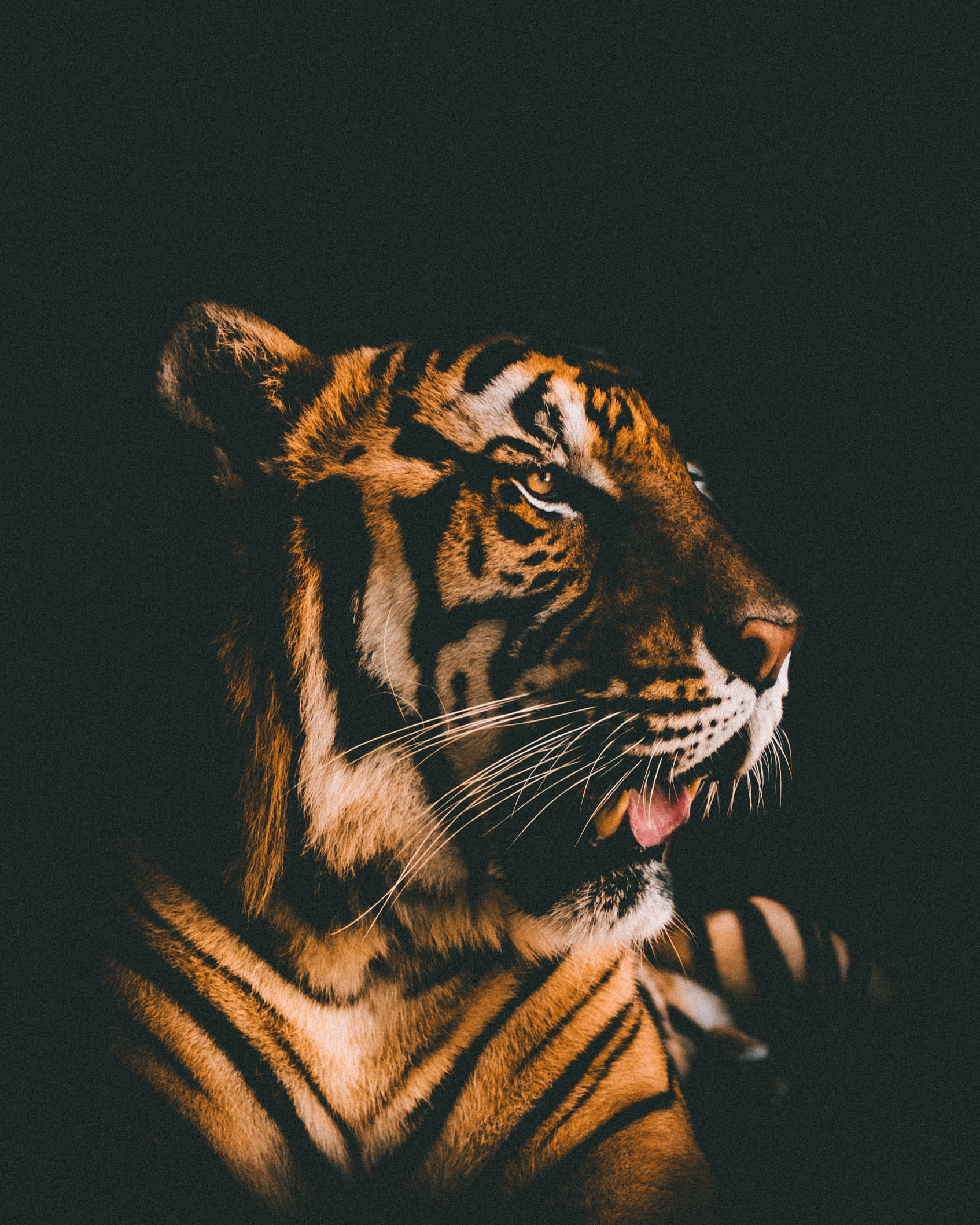 Project Management for Wildlife Conservation