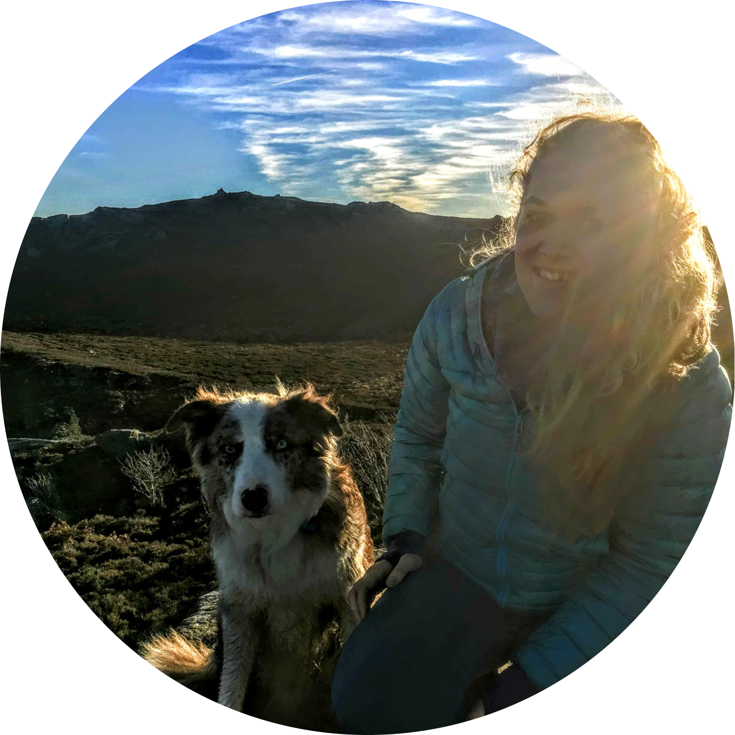 Go to the profile of Beth Rogers