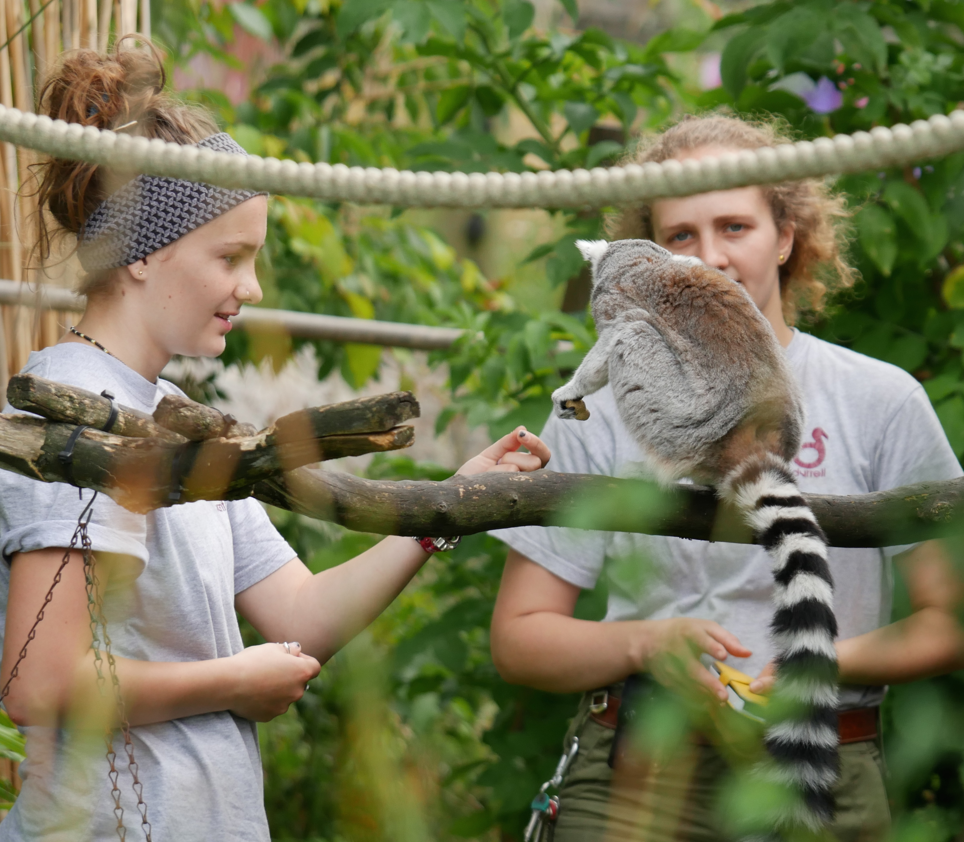 Jersey Zoo Internships