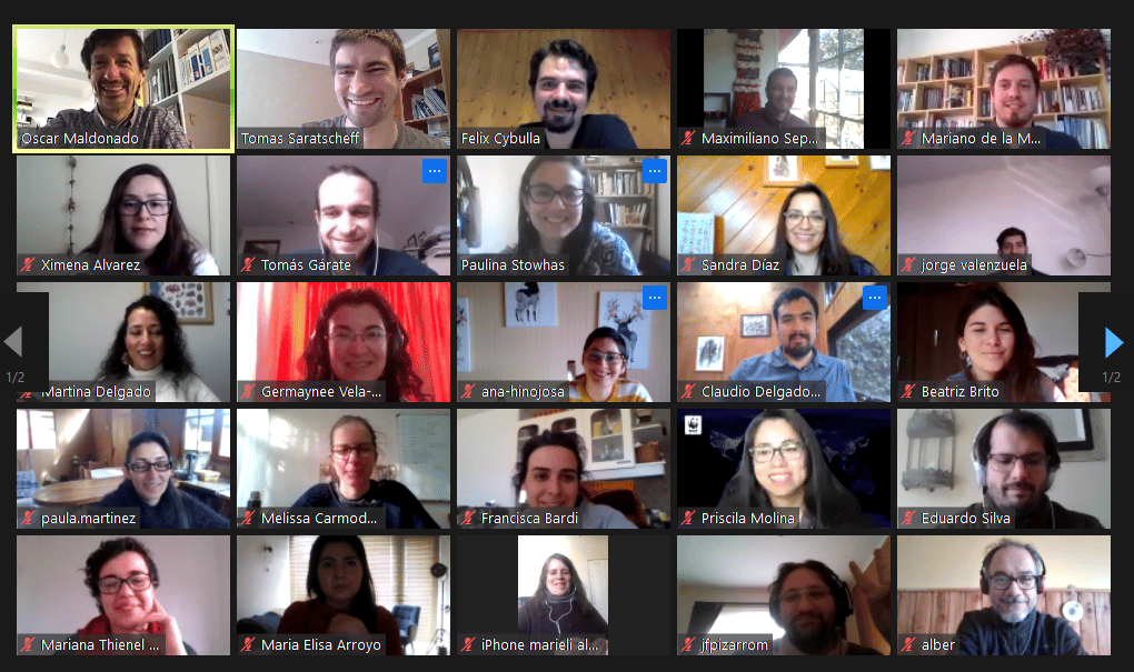 Advanced Online Conservation Standards Training for Practitioners in Chile