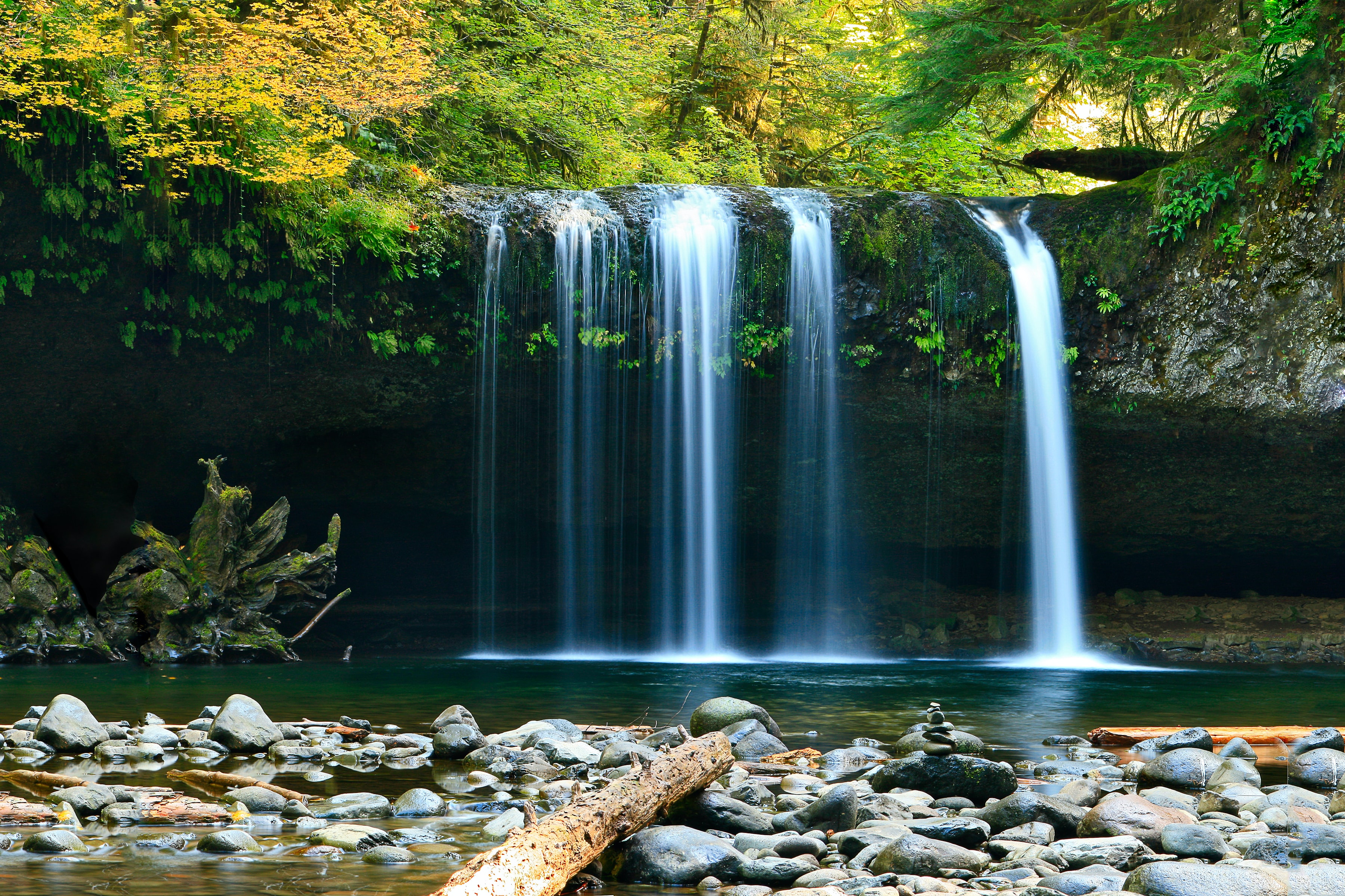 Do you have desire to do great things for this beautiful planet?