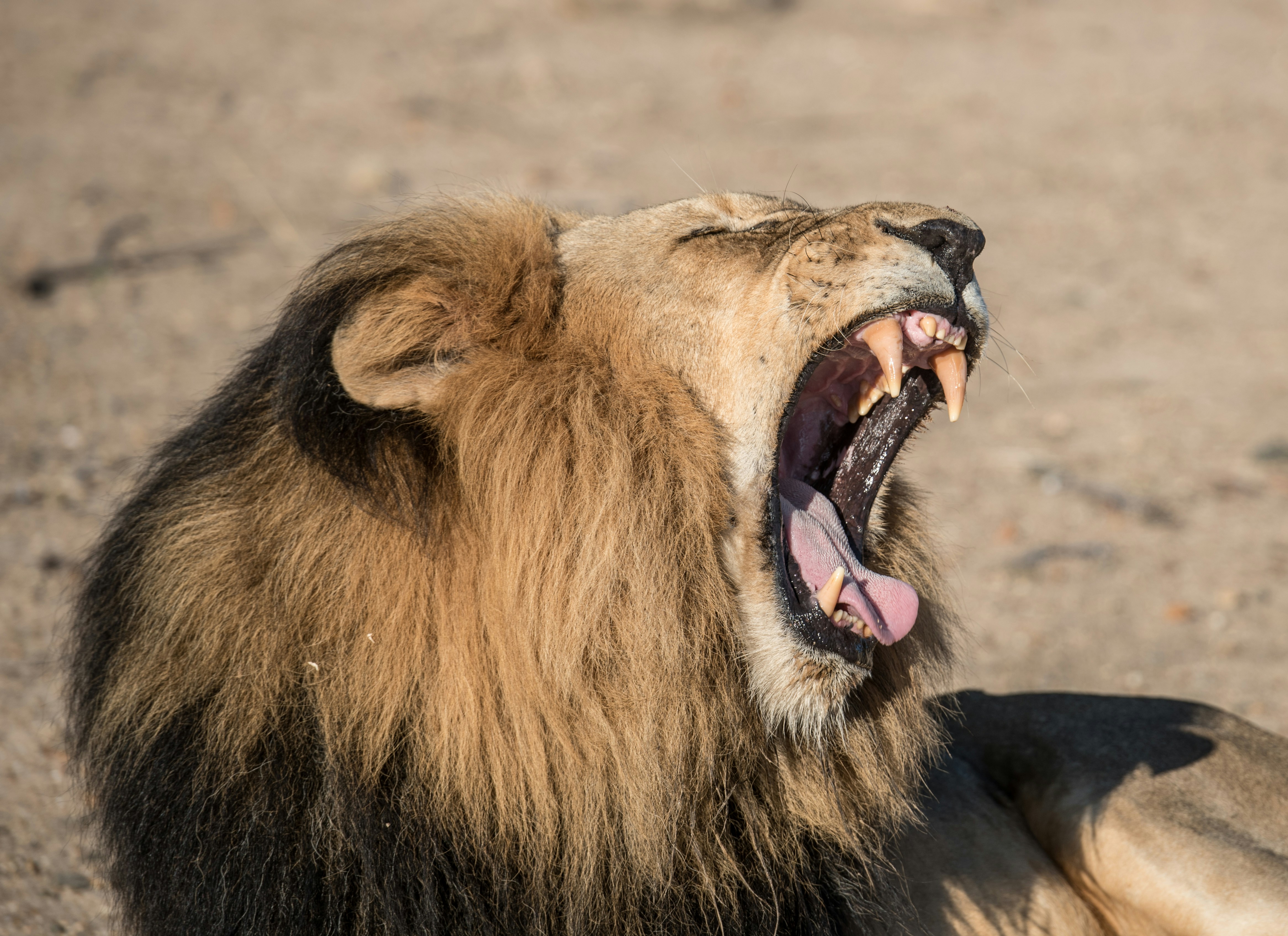 Project Manager, South Sudan 