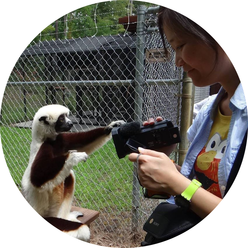 Go to the profile of Jocy