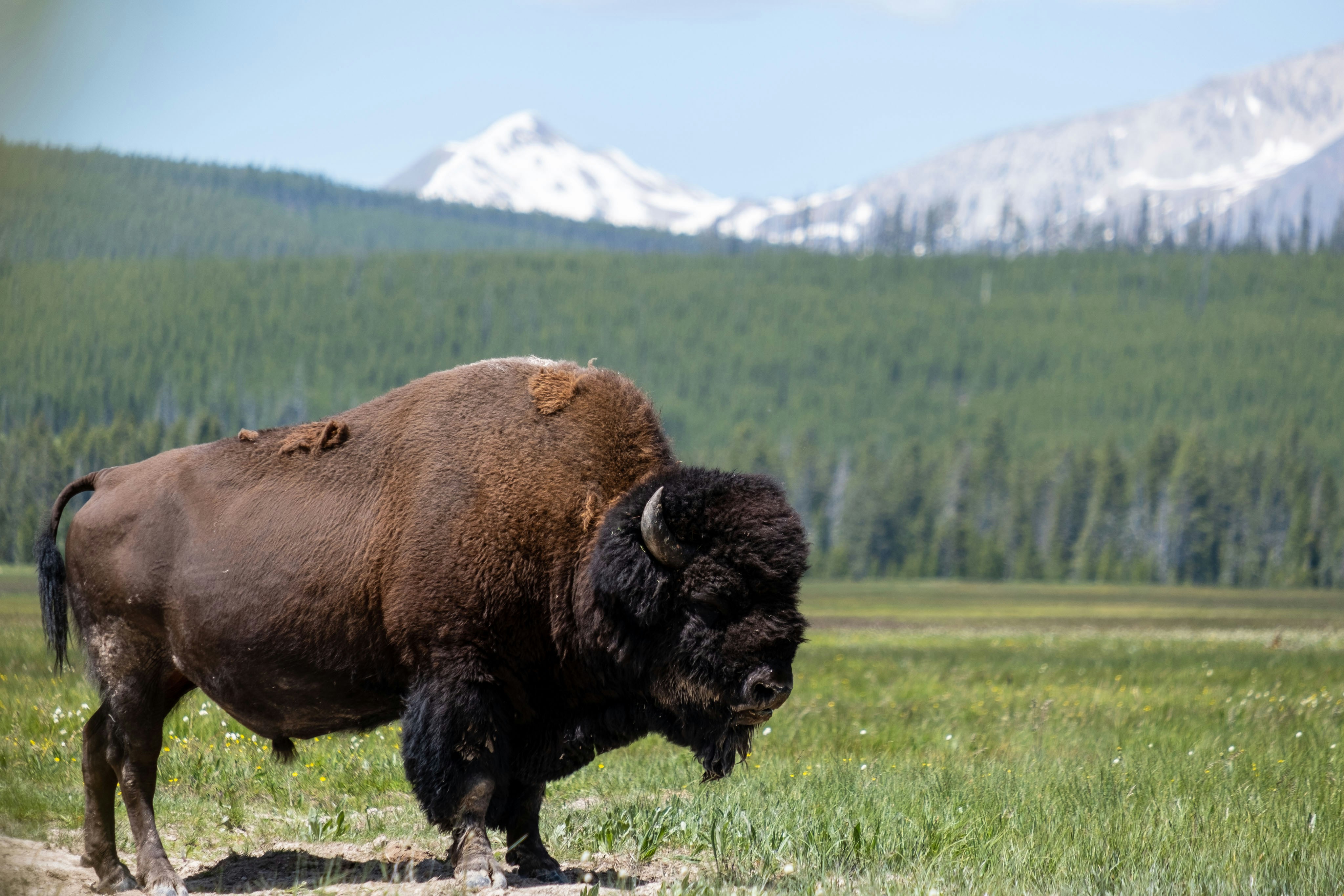 Every US conservation organisation, in one A to Z list