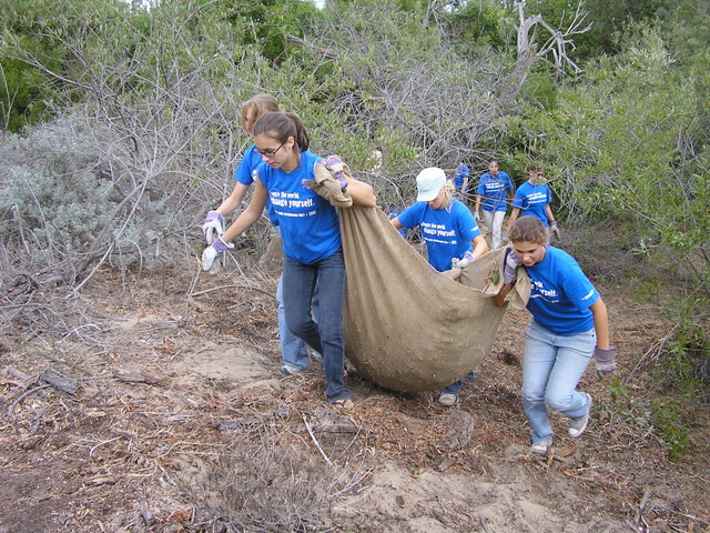 Pathways to success in volunteer recruitment and management