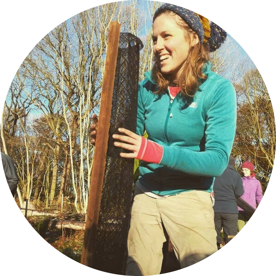 Go to the profile of Ellie Kent