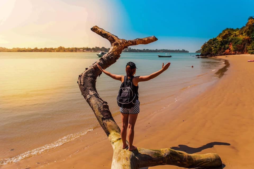 Training, field experience and research opportunity