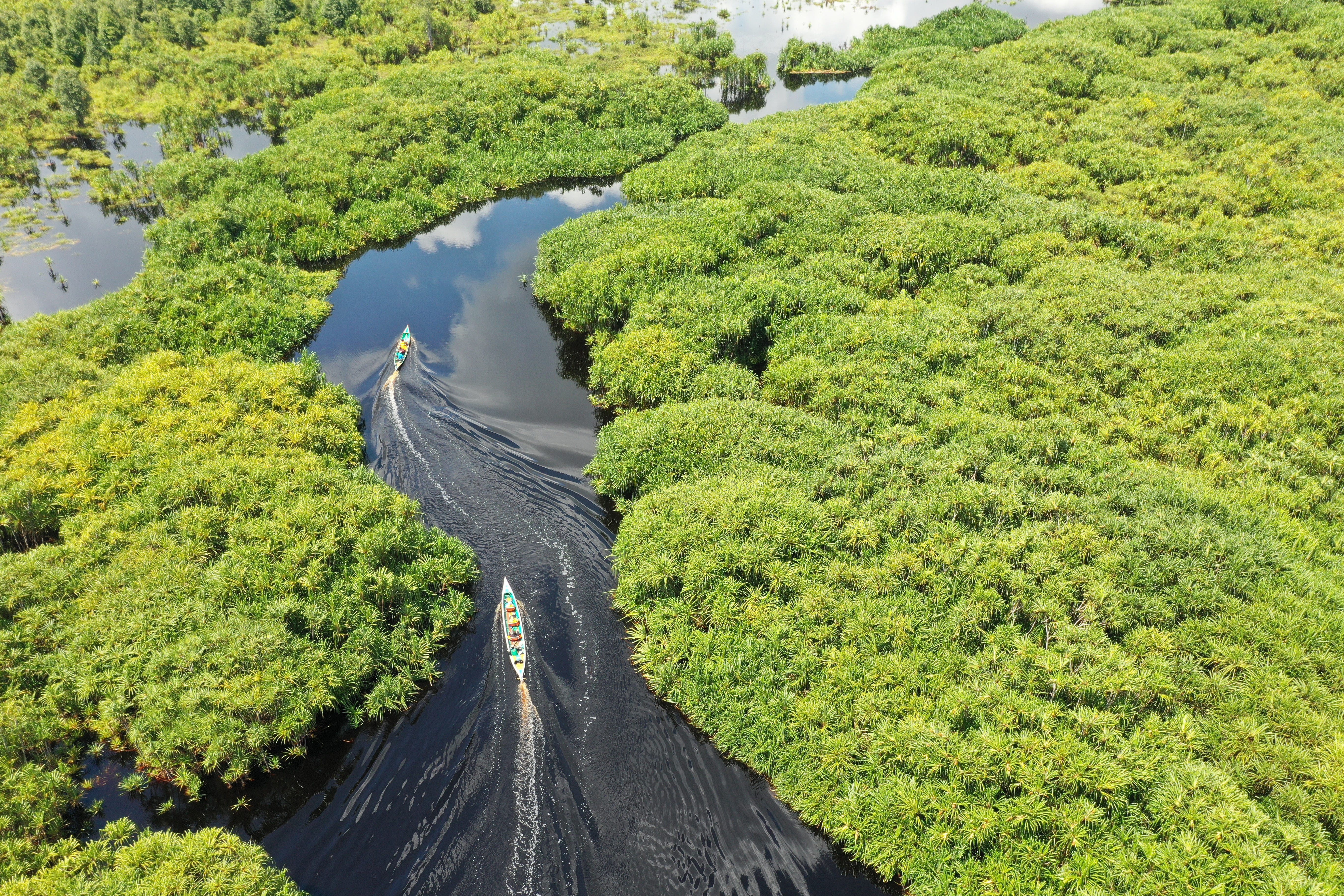 Conservation Technology 101: How you can innovate for the planet