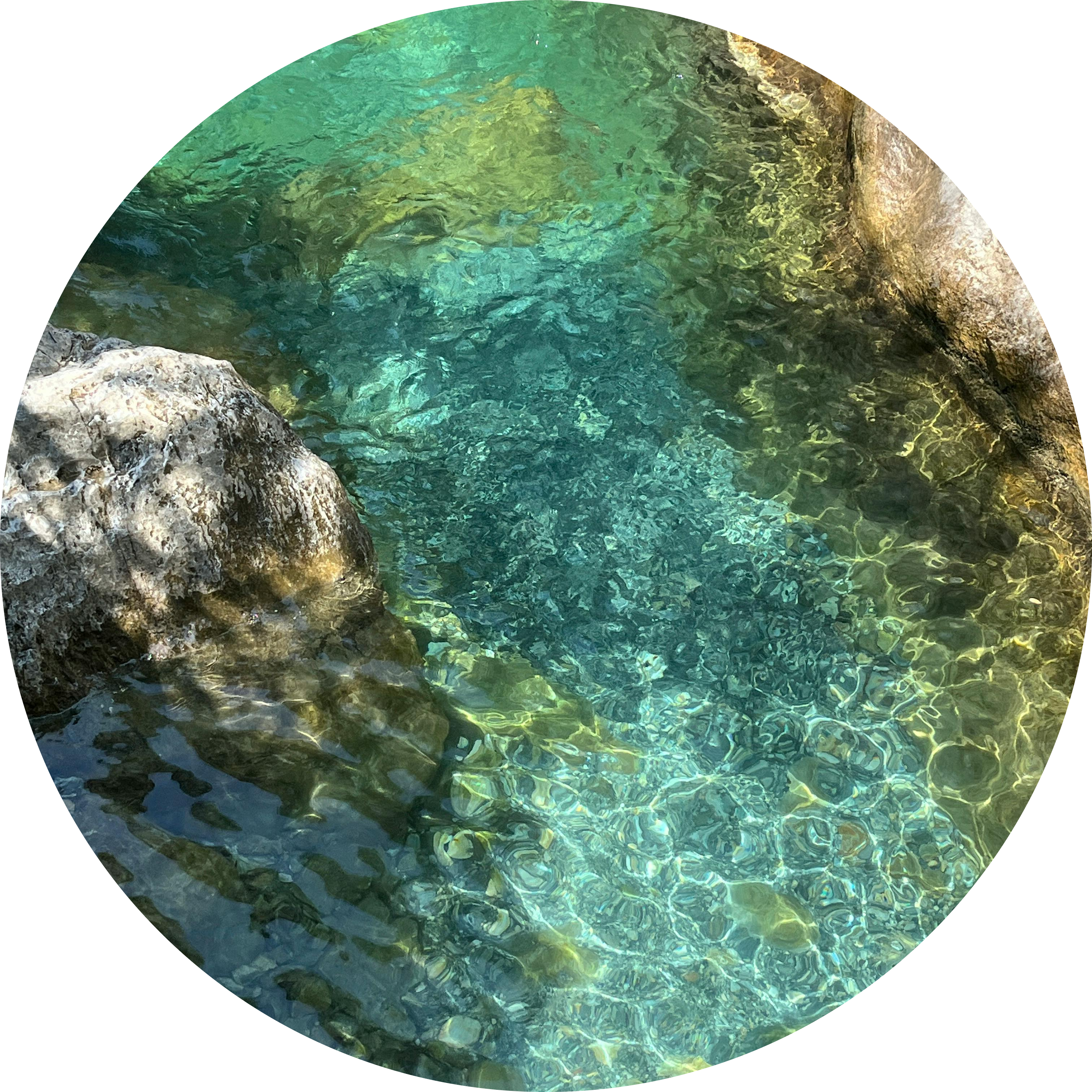 Go to the profile of mary