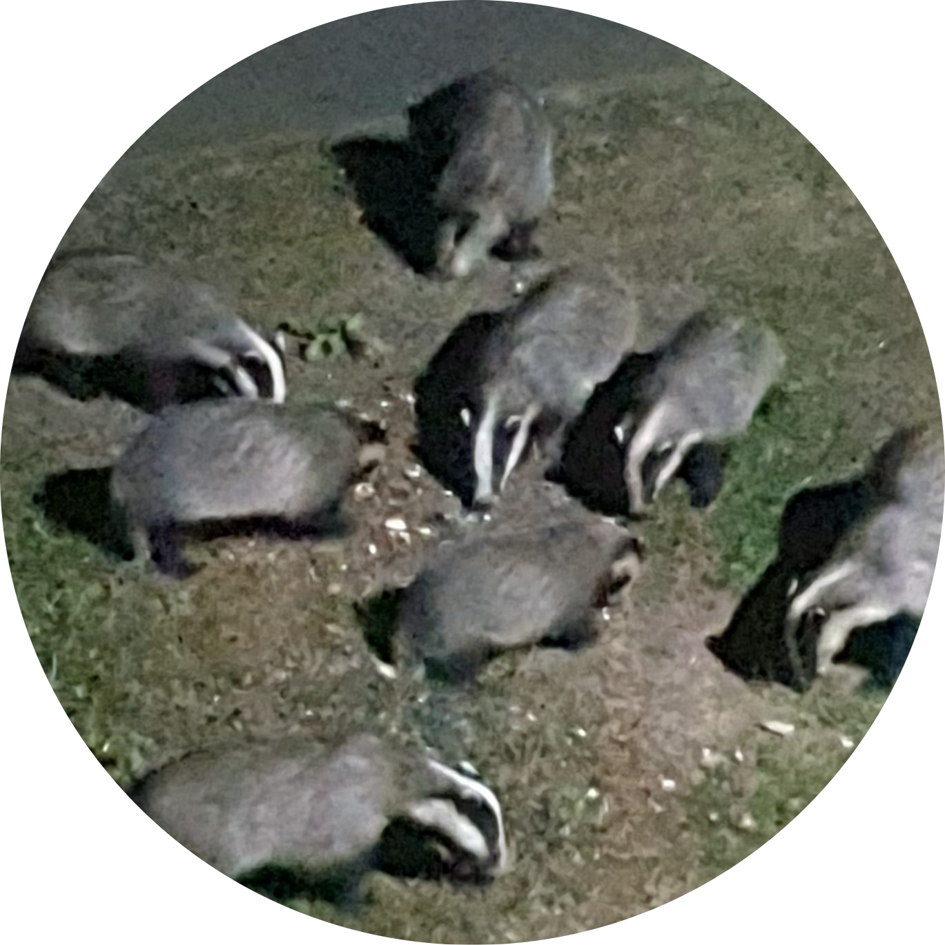 Go to the profile of Aviva Digby