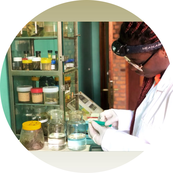 Go to the profile of Deborah  Anyawenna Amobey