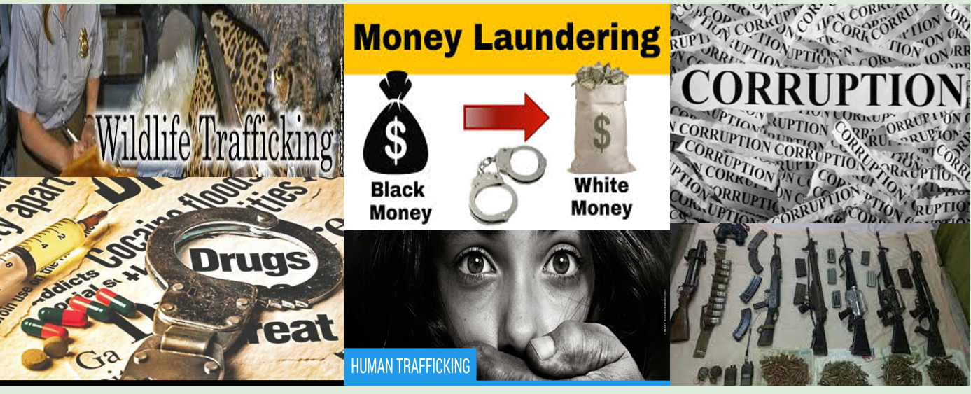 Convergence of Wildlife Crime with Other Crimes and Synergy Among Enforcement Agencies To Combat It