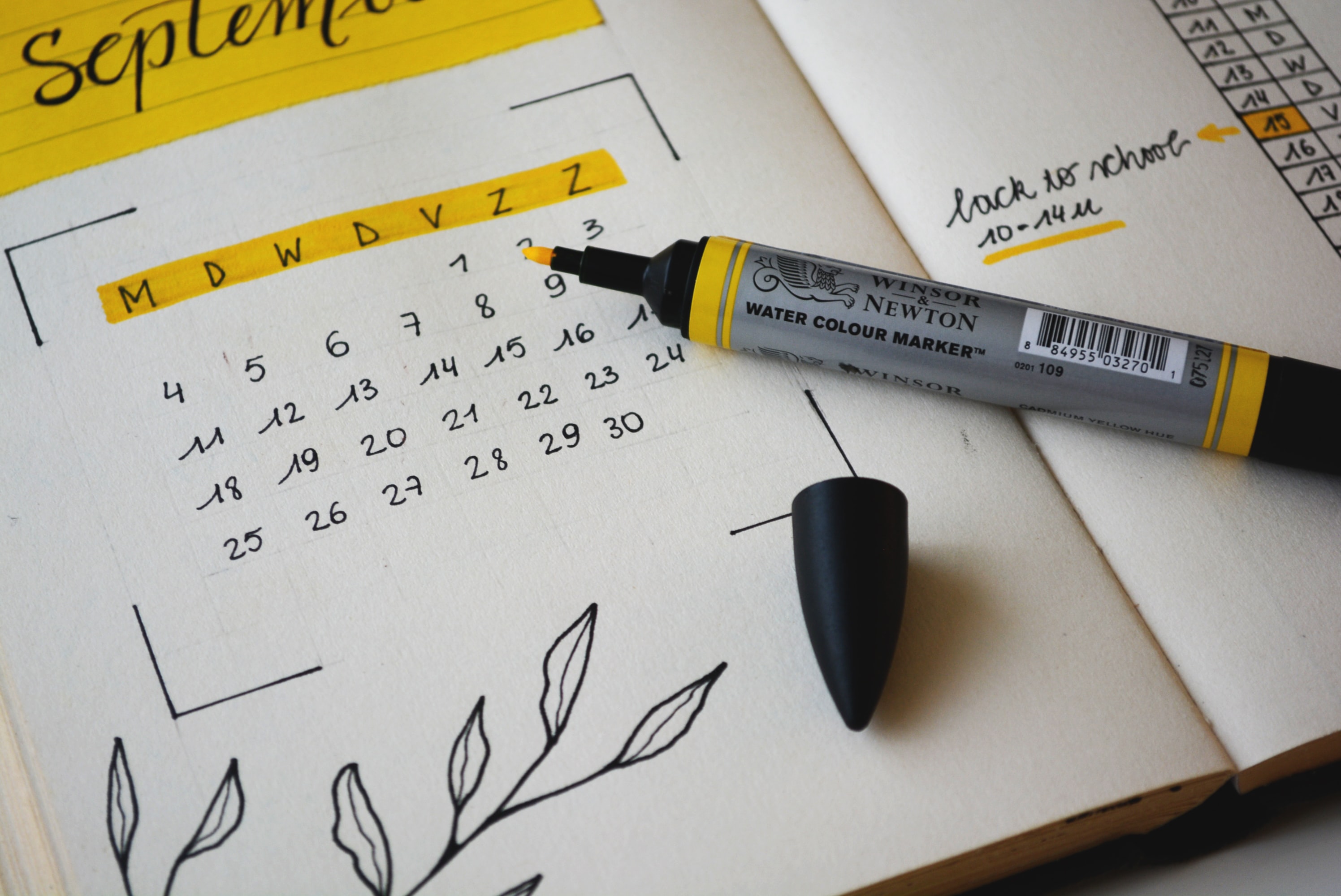 WildHub Festival Calendar June 2020