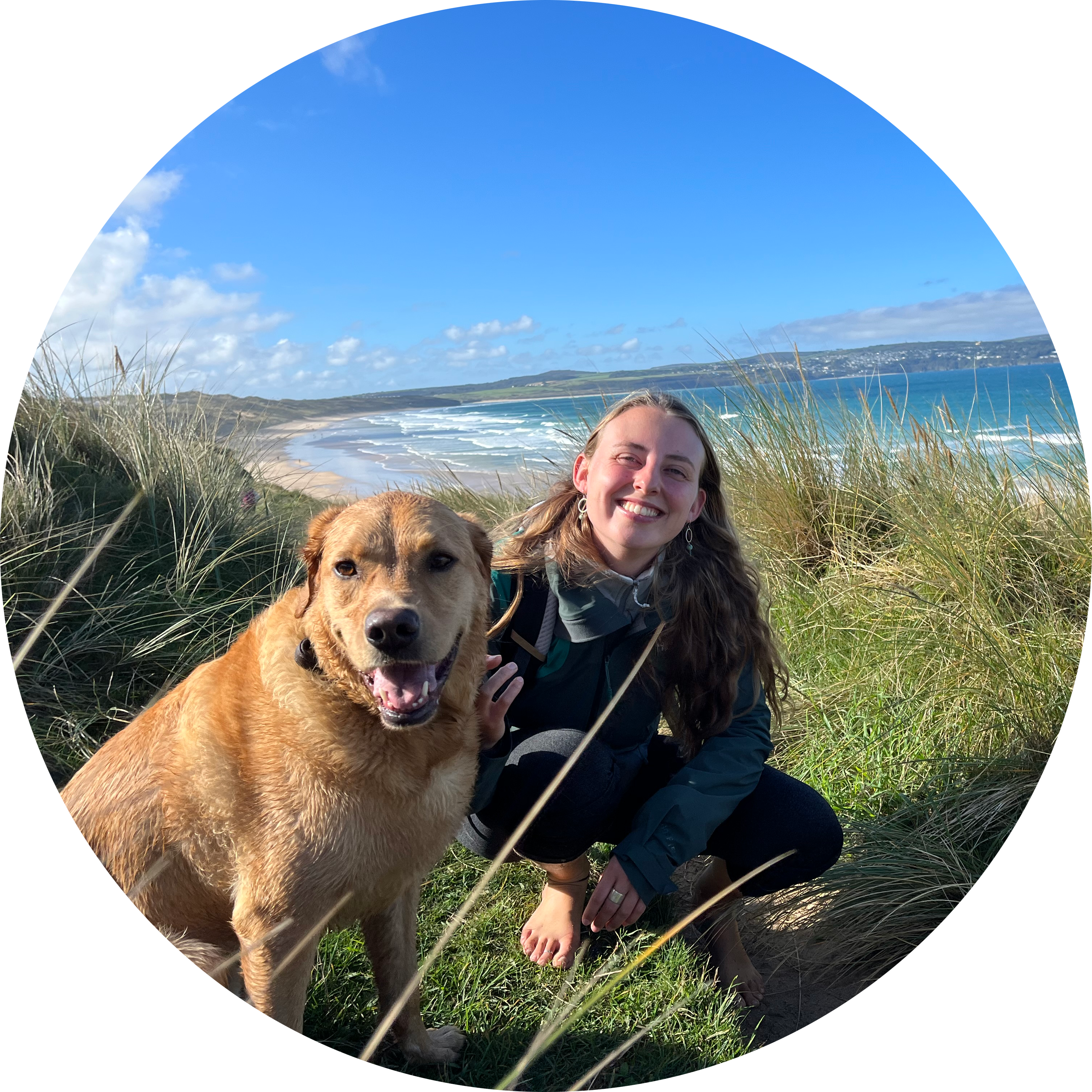 Go to the profile of Sarah.