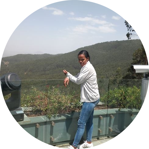 Go to the profile of Mebrat Teklemariam Gebrekidan