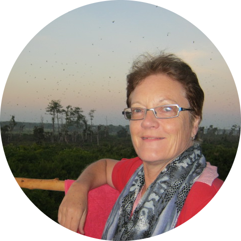 Go to the profile of Rosie Mercer