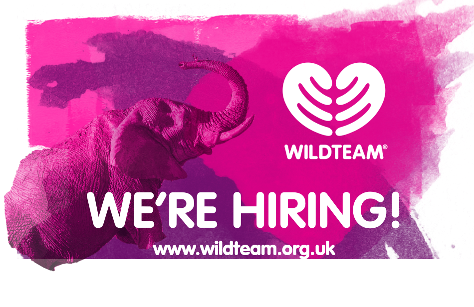Trainer job opportunity with WildTeam