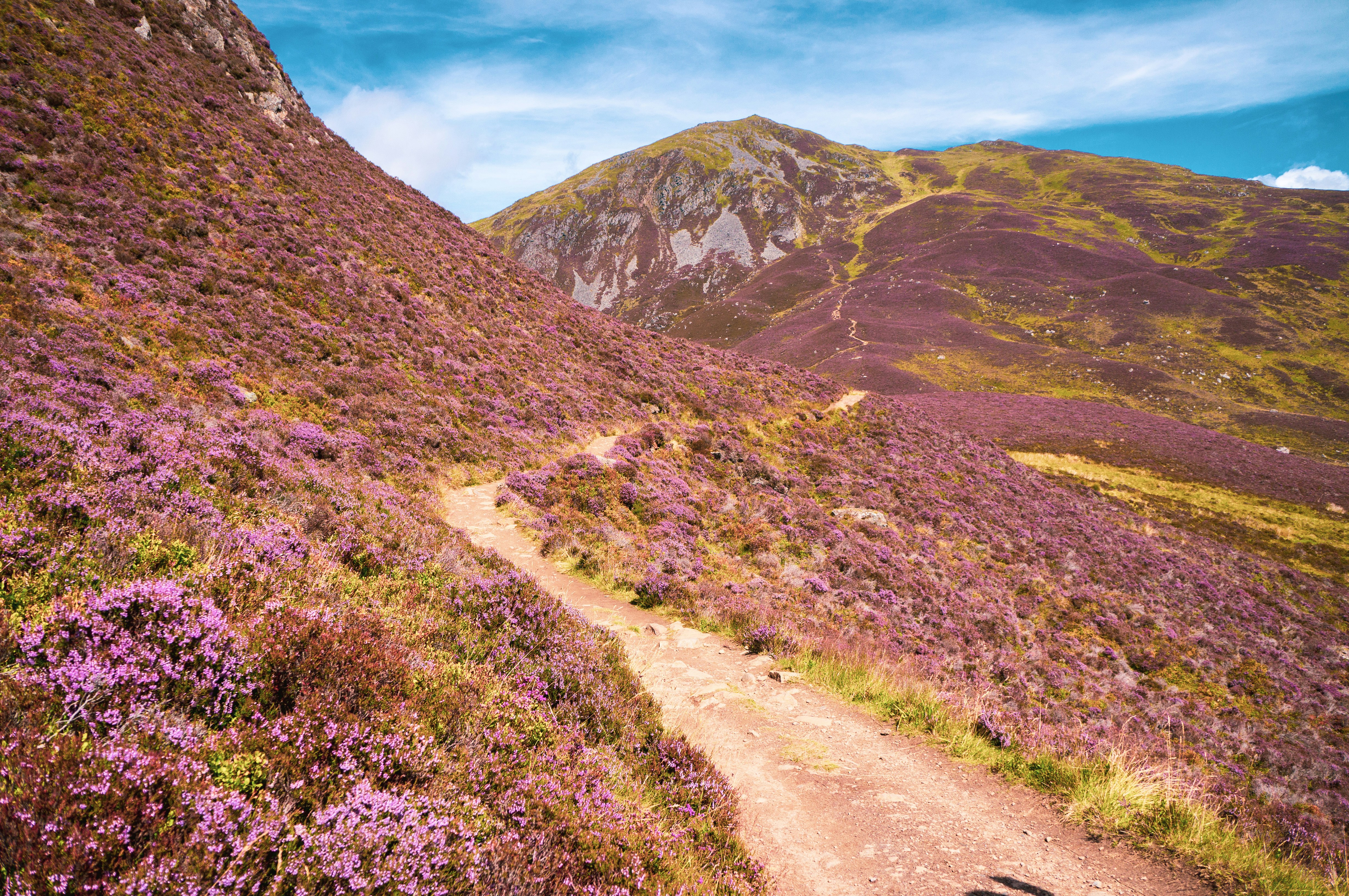 Rewilding Communications Training Course in Scotland
