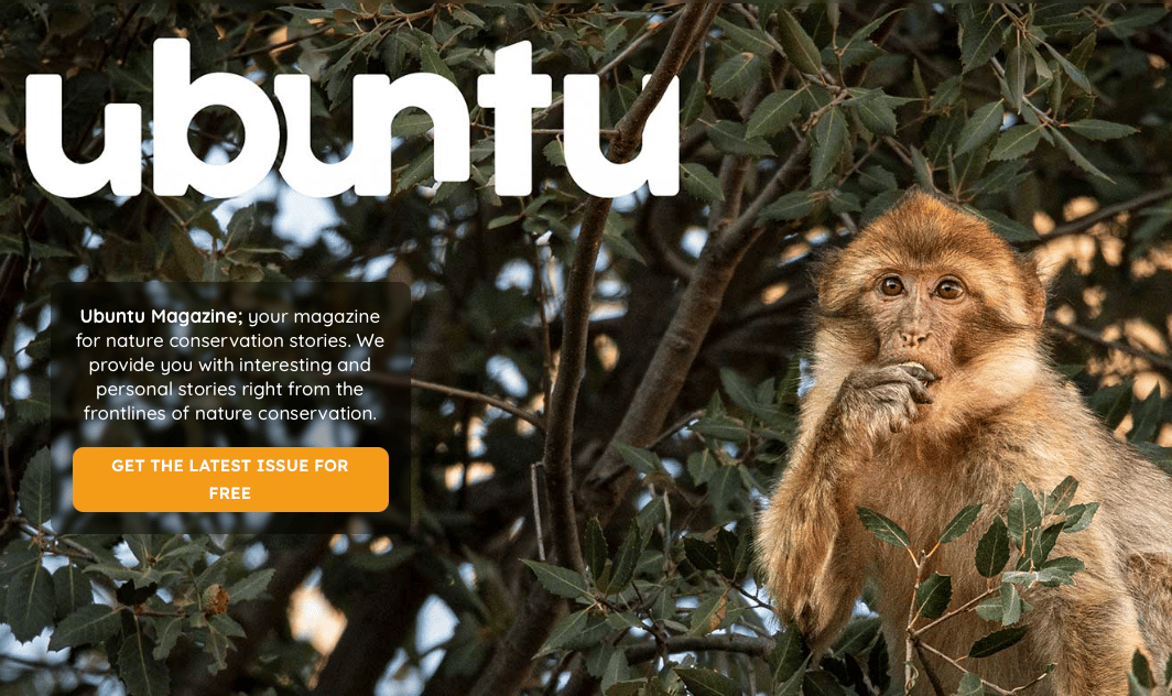 🌿 Share Your Story in Ubuntu Magazine – Inspire, Connect, Amplify 🌍
