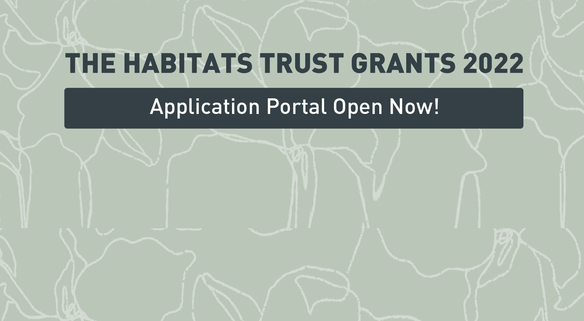 Grants for organisations/individuals (India)
