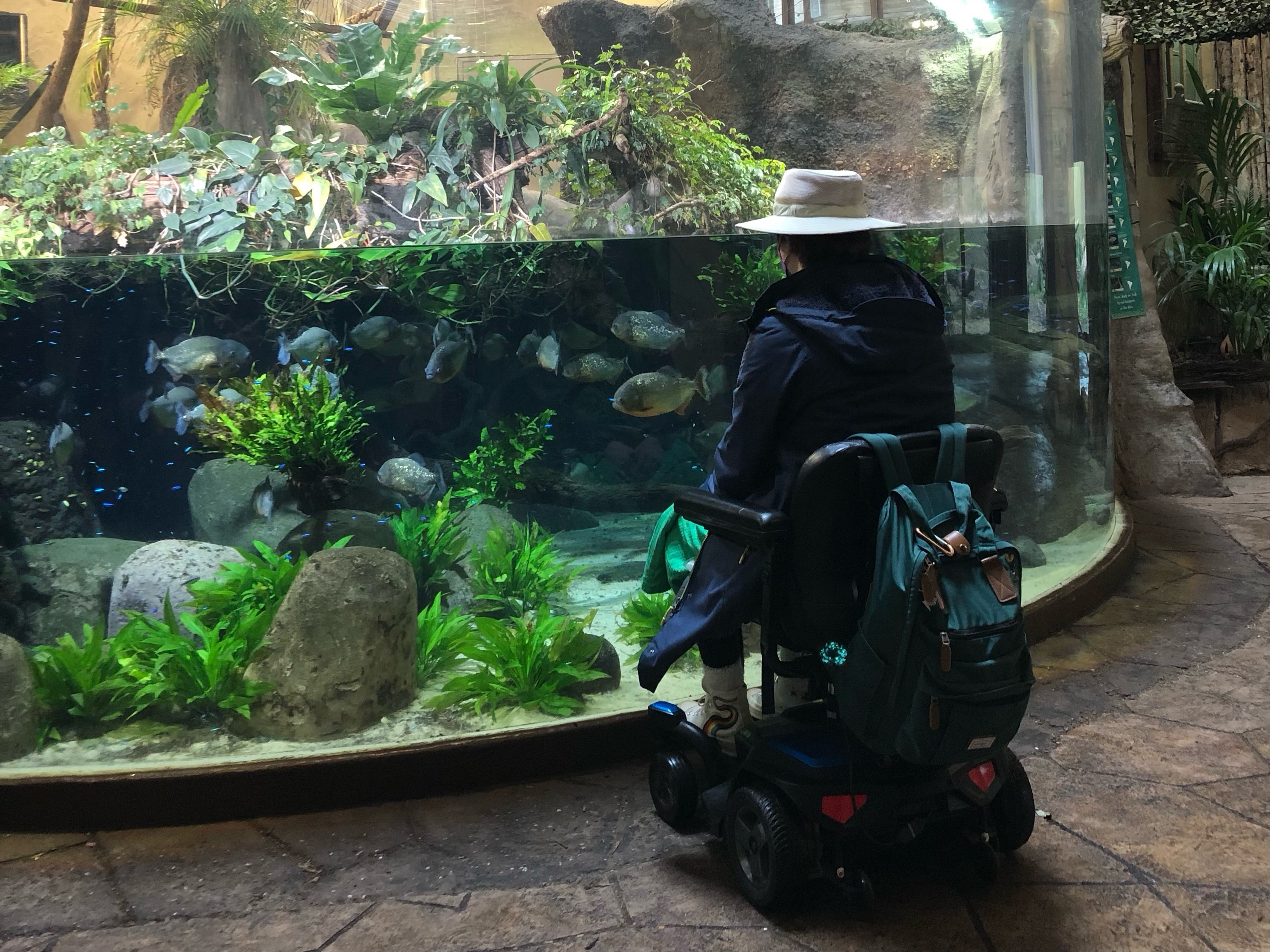 Disability and the zoo industry