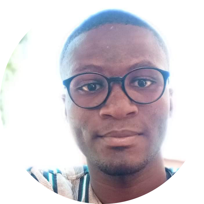 Go to the profile of CHABI Adéchègoun Mèschac Bertrand