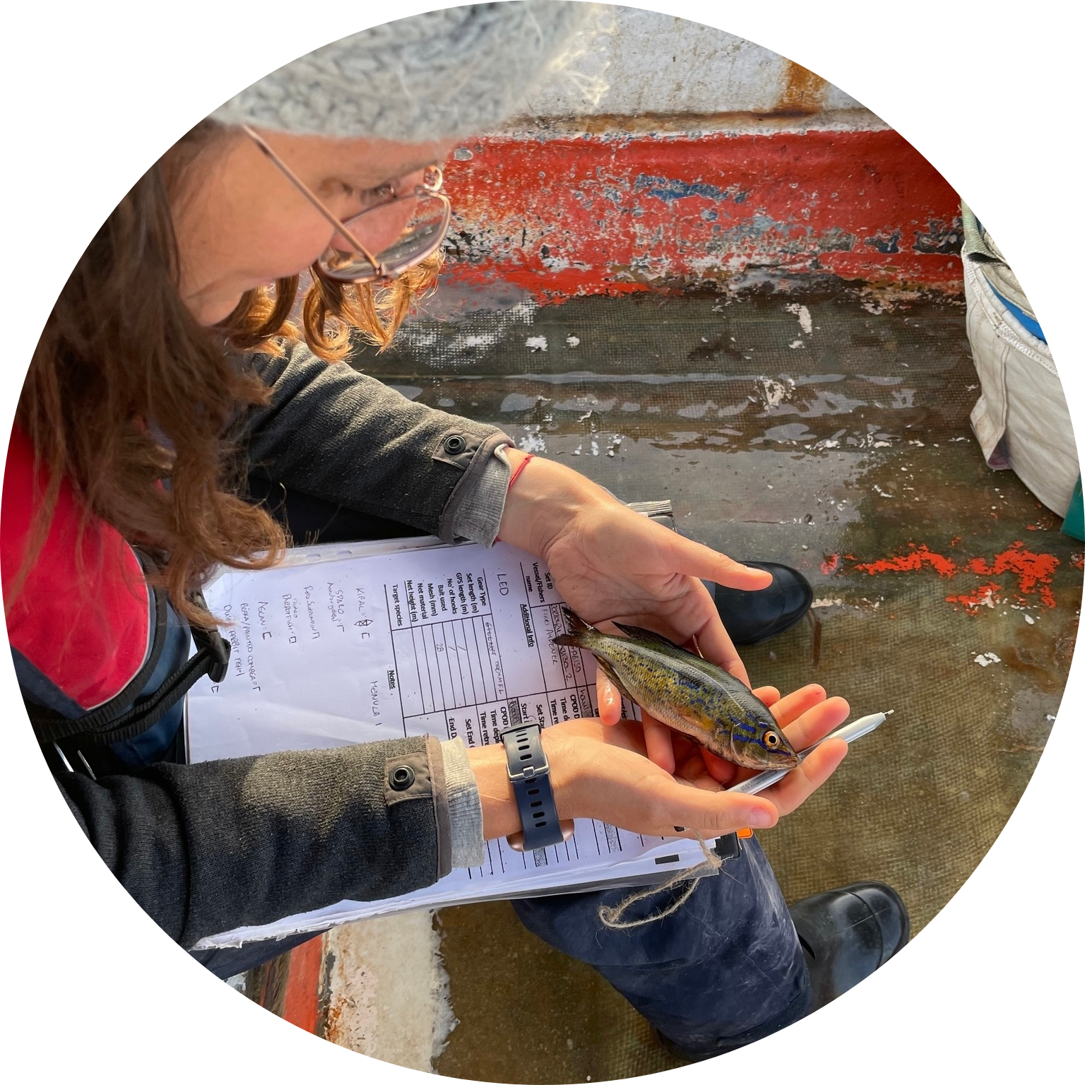 Go to the profile of Flavia Scocca