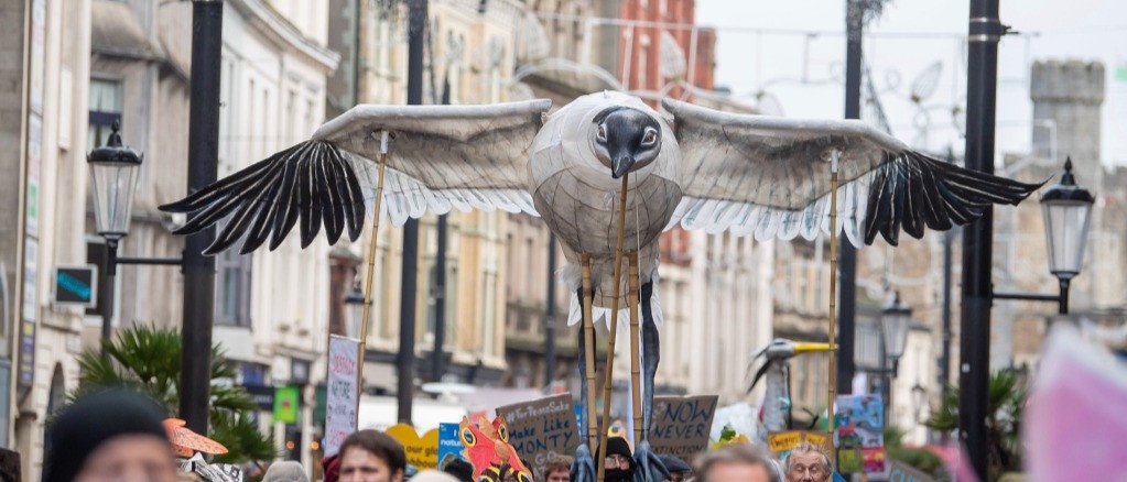 UK Youth for Nature X RSPB - Youth Craft & Chat: Prep for Restore Nature Now with us!