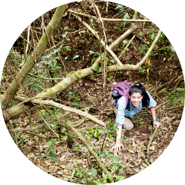 Go to the profile of Francy Forero