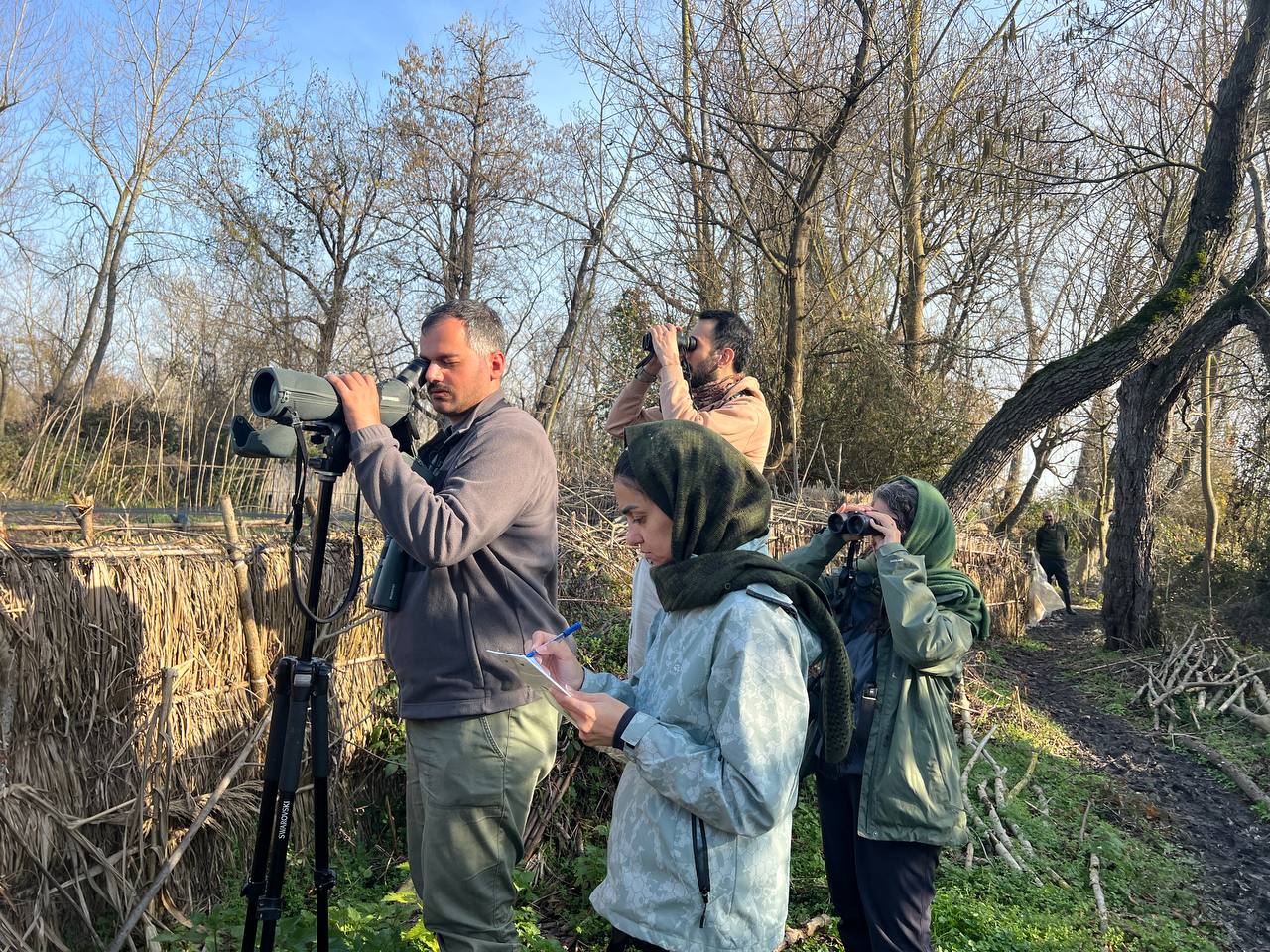 When fewer birds may not mean what we first think