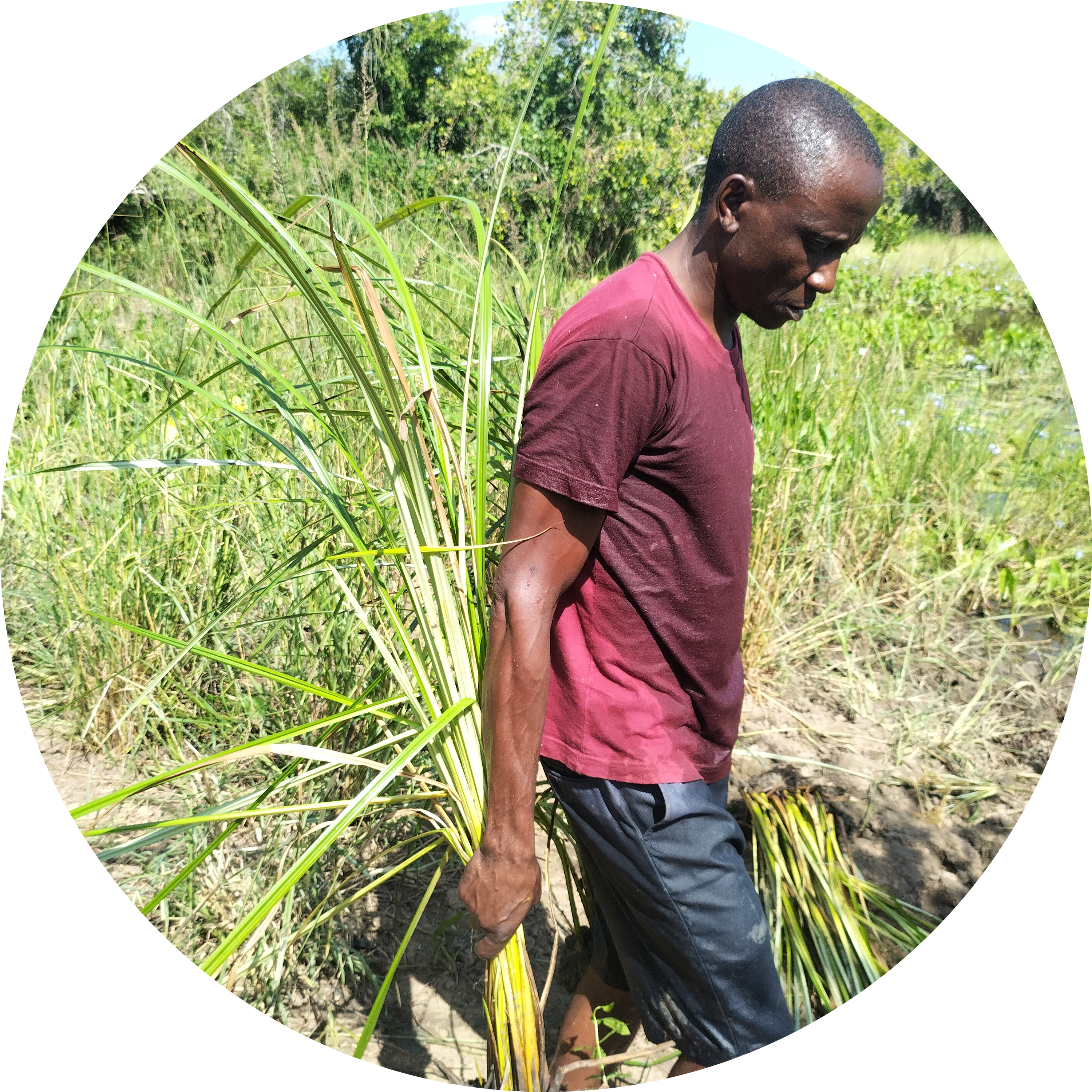 Go to the profile of Albert Baya Mwamure