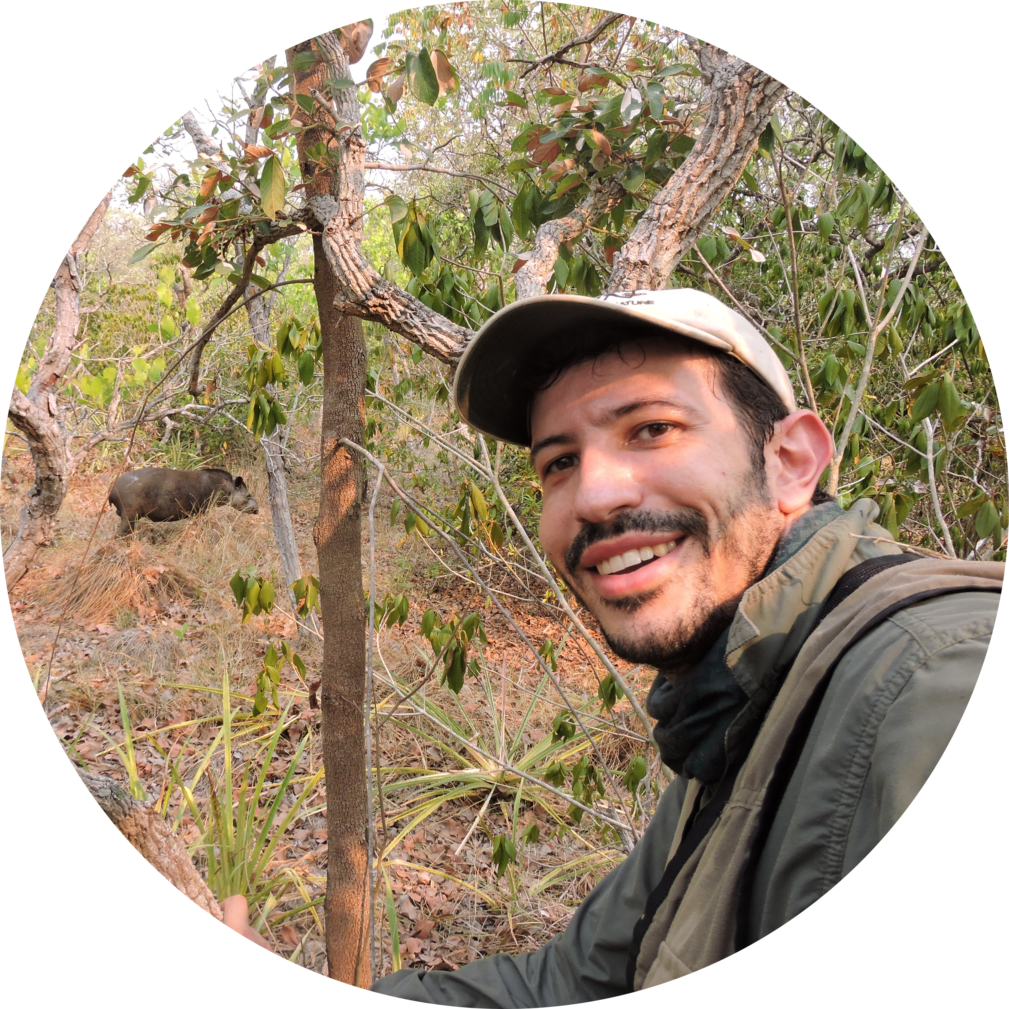 Go to the profile of Felipe Moreli Fantacini