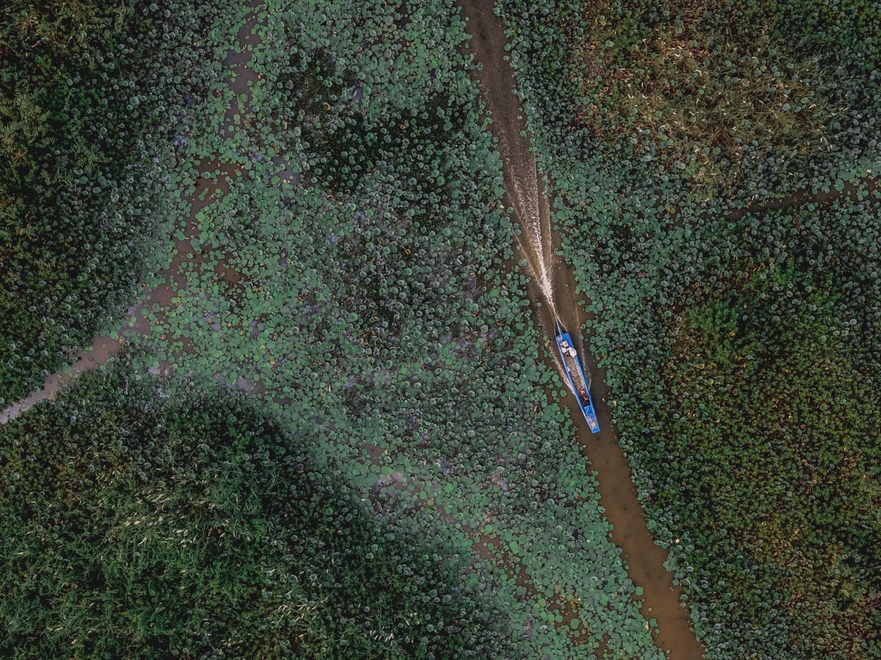 Learn skills to protect and manage wetlands worldwide