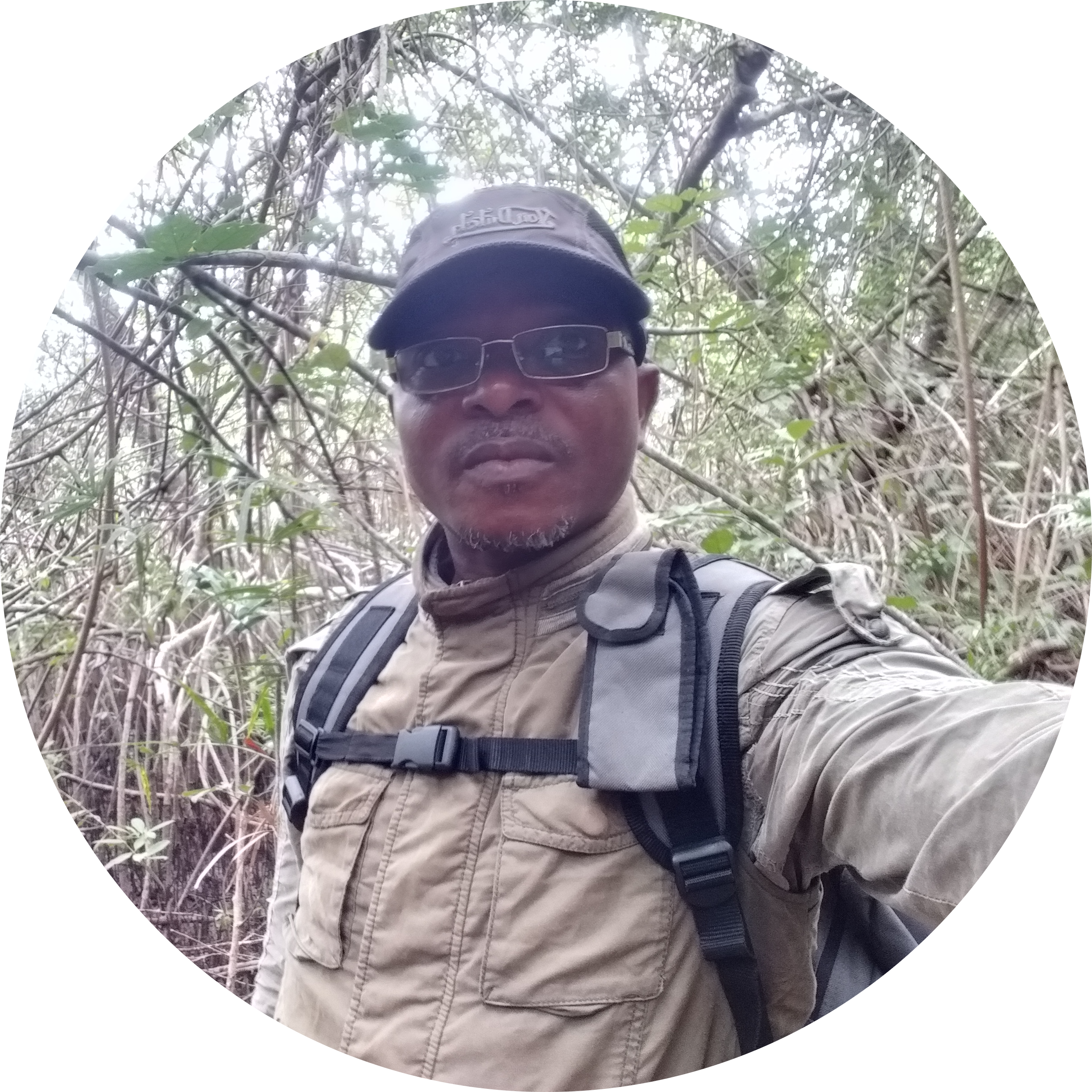 Go to the profile of GONE BI Zoro Bertin