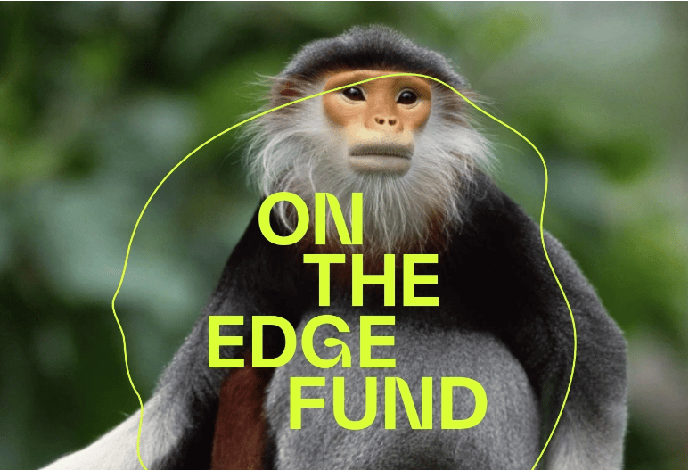 On the EDGE Fund - just launched!