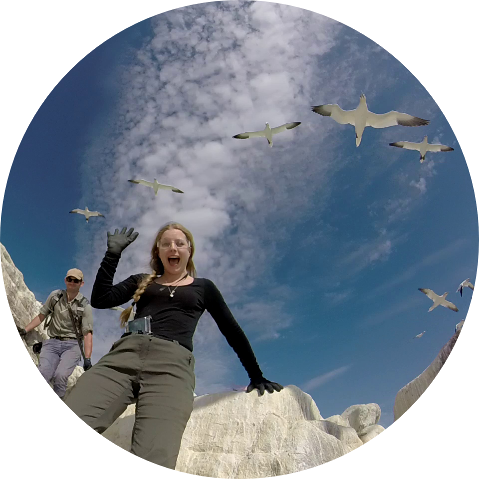 Go to the profile of Daniele Clifford