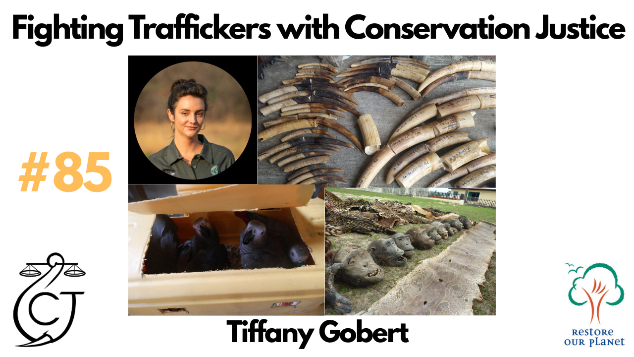 Restore Our Planet Podcast #85 Fighting Traffickers with Conservation Justice: Tiffany Gobert