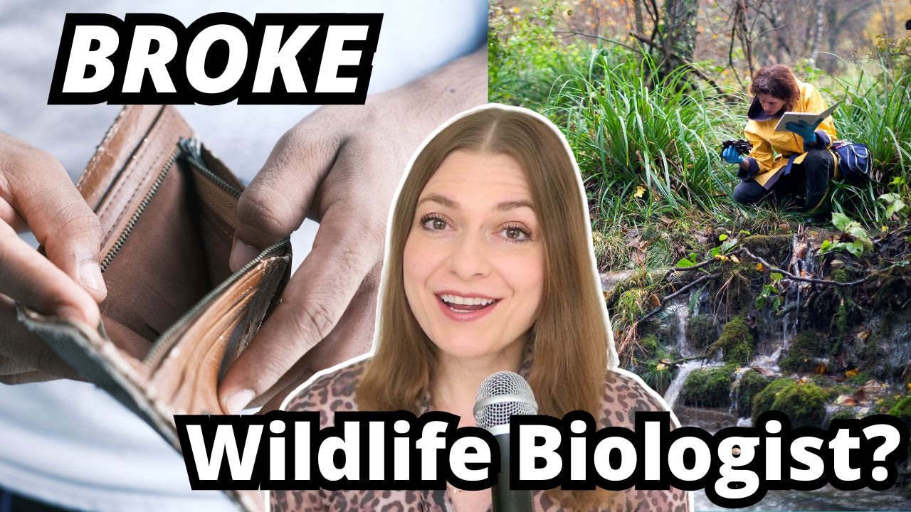 Building a Wildlife Career Without Breaking the Bank: Real Talk on Money, Salaries, and Spending